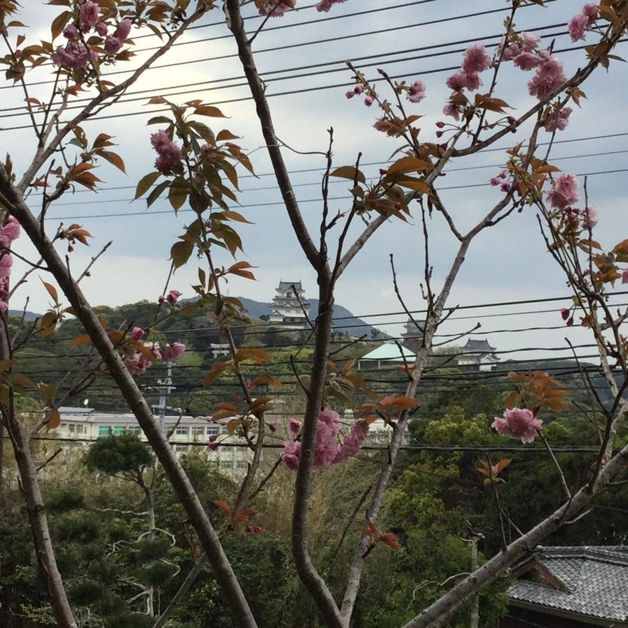 Hotel Saiyo Wakigawa Hirado Luaran gambar